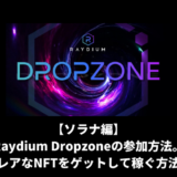 【ソラナ編】Raydium Dropzoneの参加方法。レアなNFTをゲットして稼ぐ方法
